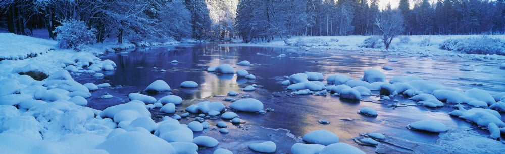 Mercer River California in winter Canvas Art - Panoramic Images (27 x 9)