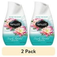 (2 pack) Merchandise 3184021 Renuzit Adjustables Air Freshener, After