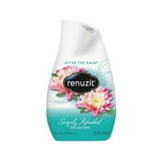 Merchandise 3184021 Renuzit Adjustables Air Freshener, After the Rain, 7.5 oz