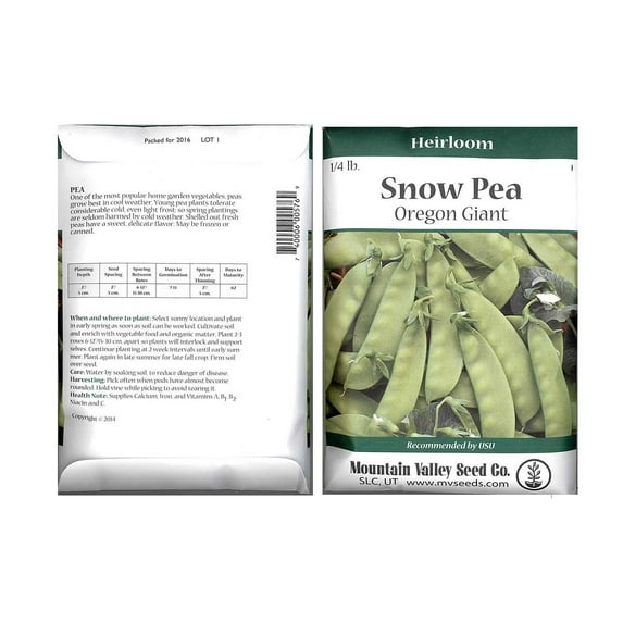 Snow Pea Garden Seeds - Oregon Giant - 4 Oz Seed Packet ~450 Seeds - Non-GMO Vegetable Gardening Seeds - Sweet Pea Pods