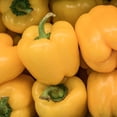 thumbnail image 1 of Canary Bell Sweet Pepper Garden Seeds - Non-GMO, Vegetable Gardening, 1 of 7