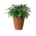 thumbnail image 1 of algreen products olympus self-watering planter, 14" dia x 15" h, terra cotta, 1 of 2
