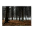 thumbnail image 1 of Trademark Fine Art 'Place Of Silence' Canvas Art by Dragisa Petrovic, 1 of 3