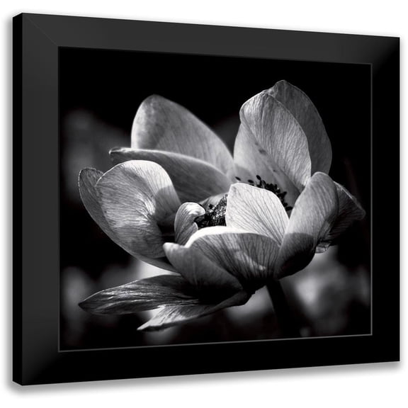 Mercier, Bruno 12x12 Black Modern Framed Museum Art Print Titled - Spring dream