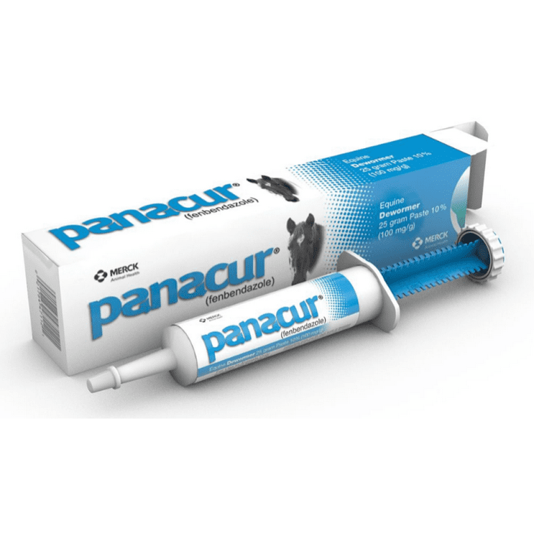 Merck Animal Health Panacur Equine Dewormer Paste 10%, 25 g