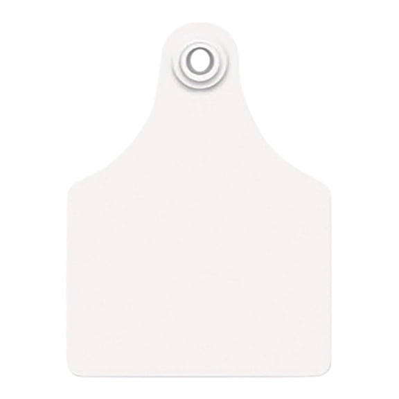 Allflex Usa GXF/GSMW 319281 Ear Tag, Blank, White, Maxi