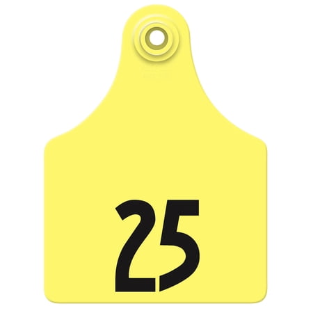 Global Maxi, Numbered (25) Color: Yellow Number: 1-25