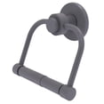 thumbnail image 1 of Mercury Collection 2 Post Toilet Tissue Holder - Matte Gray / Smooth, 1 of 11
