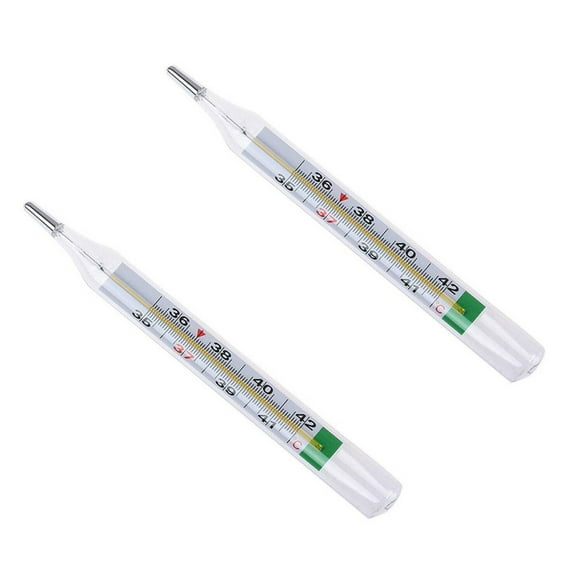Mercury Thermometers