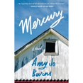 thumbnail image 1 of Pre-Owned Mercury (Paperback) 1250908582 9781250908582, 1 of 1