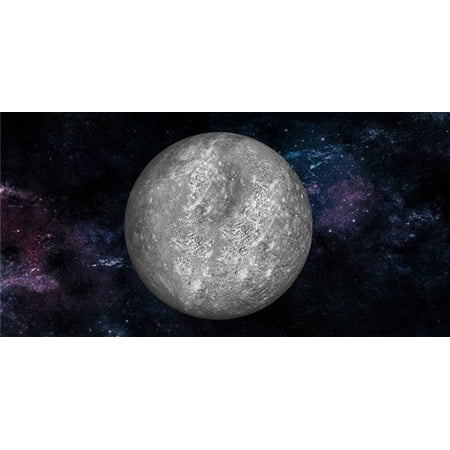Mercury Photo License Plate