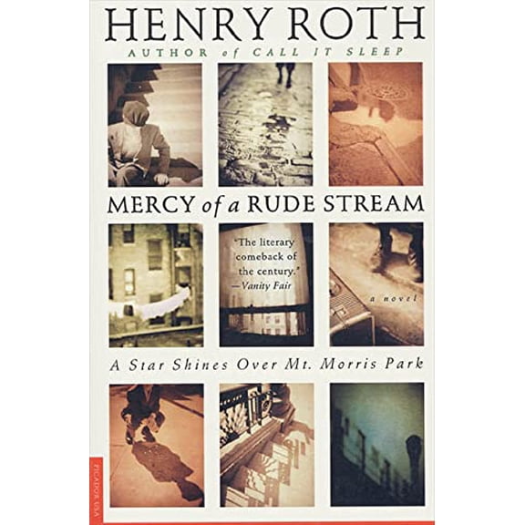Pre-Owned Mercy of a Rude Stream: A Star Shines over Mt. Morris Park (Paperback) 0312119291 9780312119294