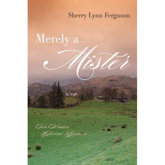 Pre-Owned Merely a Mister