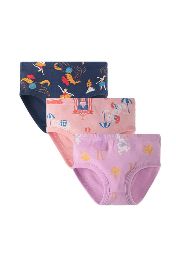 Little Girls Comfort Panty Briefs Toddler Undies and Cotton Bikini Underwear Multipacks Pink 2-3 Years