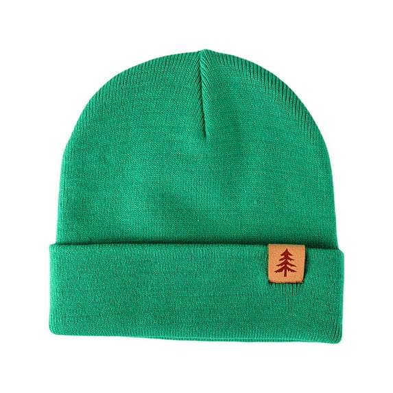 ZACPNCV Toddler Beanie for Boys Girls Baby Kids Warm Knit Winter Hat Green