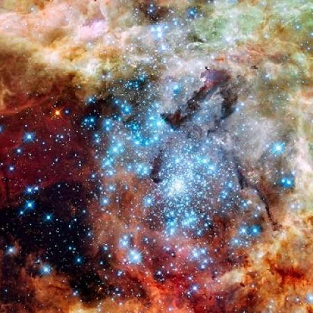 Merging Clusters in 30 Doradus Canvas Art - NASA (24 x 24)