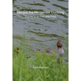 thumbnail image 1 of Mergus the Merganser Duckling: A journey up the River called Priest, (Paperback), 1 of 1