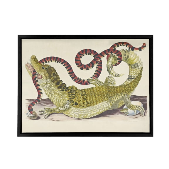 Merian Alligator Crocodile Snake Black Framed Canvas Wall Art Print 18X24"