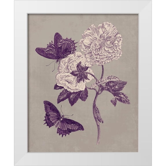 Merian, Maria S. 12x14 White Modern Wood Framed Museum Art Print Titled - Nature Study in Plum and Taupe IV