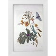 thumbnail image 1 of Merian, Sybilla 17x24 White Modern Wood Framed Museum Art Print Titled - Tropical flower,Butterfly,  plate 45, 1 of 4