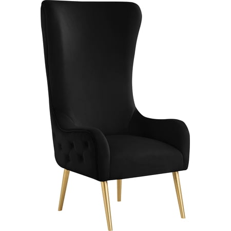 Meridian Furniture Alexander Black Velvet Accent Chair