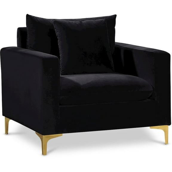 Meridian Furniture Naomi Velvet Accent Chair in Black