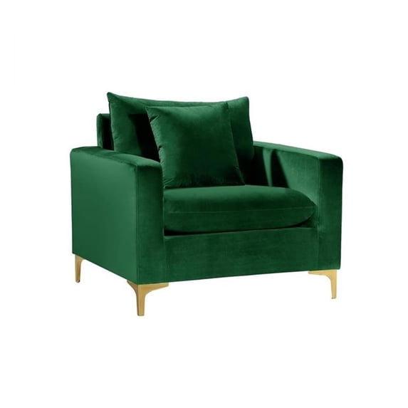 Meridian Furniture Naomi Velvet Accent Chair in Green