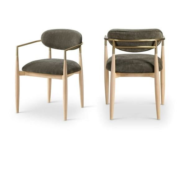 Meridian Furniture Riccio Brown Performance Fabric Dining Arm Chair (Set of 2)