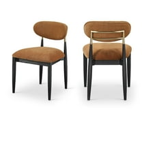 Meridian Furniture Riccio Cognac Performance Fabric Dining Side Chair (Set of 2)