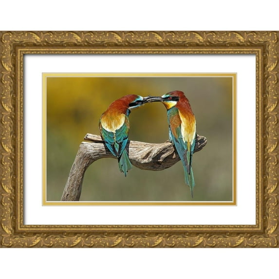 Merino, Nicolas 14x11 Gold Ornate Wood Framed with Double Matting Museum Art Print Titled - True Love