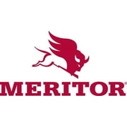 Meritor Drive Axle Oil Seal Assembly | OEM A11205X2728