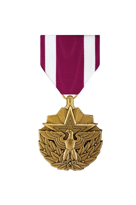 Meritorious Service Medal (MSM) Full Size