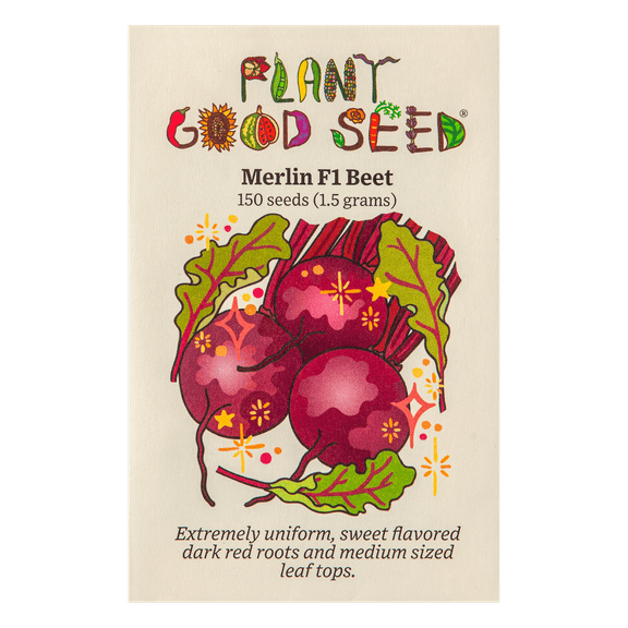 Merlin F1 Red Beet Seeds
