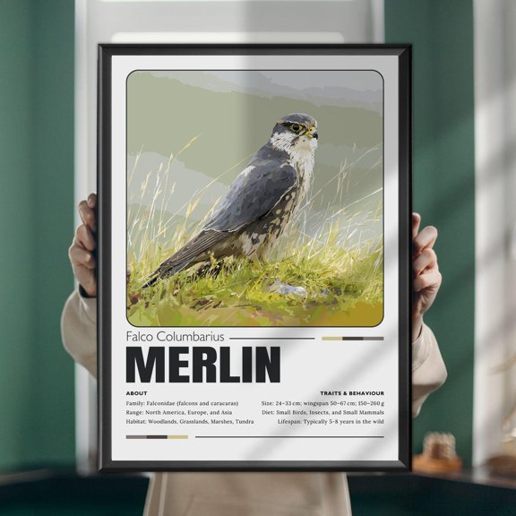 Merlin Falcon Art Print, Raptor Illustration, Unframed Paper Poster 8x10in