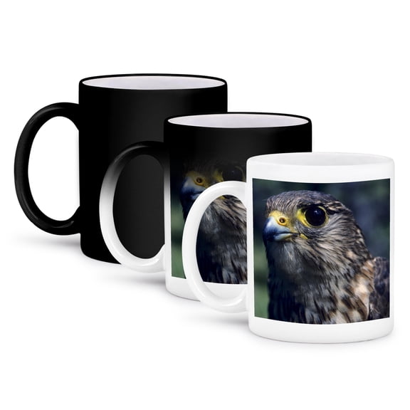 3drose, Merlin Falcon Bird, Denali, Alaska, Usa - Us02 Gre0051 - Gerry Reynolds, 11oz Magic Transforming Mug