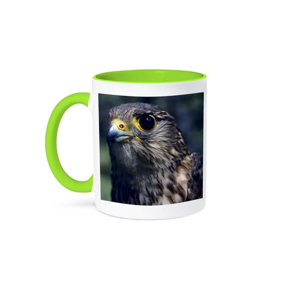 3drose, Merlin Falcon Bird, Denali, Alaska, Usa - Us02 Gre0051 - Gerry Reynolds, 11oz Two-tone Green Mug