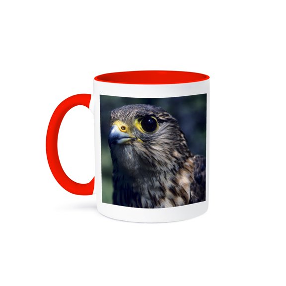 3drose, Merlin Falcon Bird, Denali, Alaska, Usa - Us02 Gre0051 - Gerry Reynolds, 11oz Two-tone Red Mug
