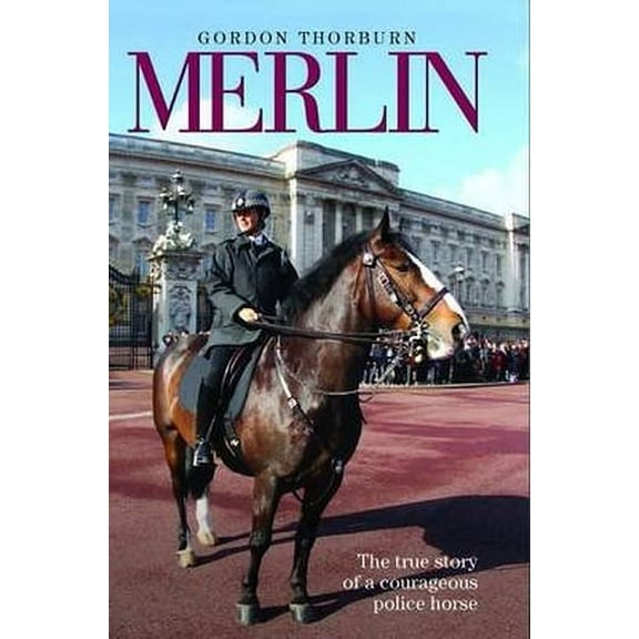 Merlin : The True Life Story of Britain's Most Heroic Police Horse (Hardcover)