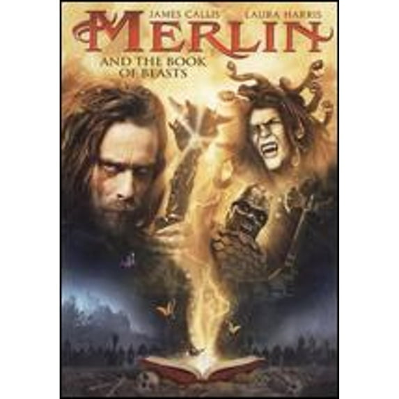 Pre-Owned Merlin and the Book of Beasts (DVD 0013138235381) directed by Warren P. Sonoda