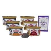 Slices in Gravy Cat Food 2 Flavor Sampler 3 Each Adult Instinctive, Intense Beauty | MerlinsMart Zine | Catnip Toy | Royal Canin