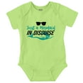 thumbnail image 1 of Mermaid In Disguise Cute Beach Day Bodysuit Jumper Girls Infant Baby Brisco Brands 24M, 1 of 6