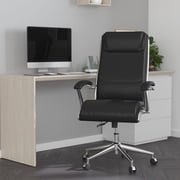 Merrick Lane Indoor High-Back Office Desk Chair with Padded Arms, Black