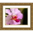 thumbnail image 1 of Merrill Images 18x15 Gold Ornate Wood Framed with Double Matting Museum Art Print Titled - Fiji-Viti Levu Pink orchid close-up, 1 of 4