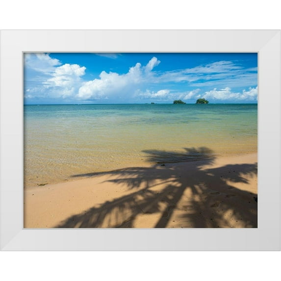 Merrill Images 18x15 White Modern Wood Framed Museum Art Print Titled - Fiji-Taveuni Island Silhouette of a palm tree on sandy beach with blue sky