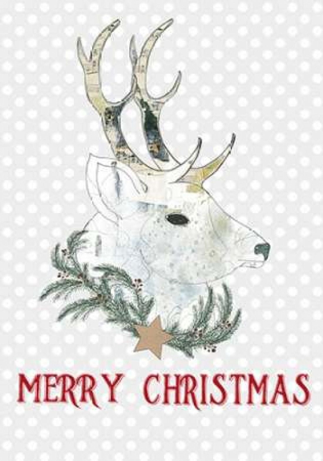 Merry Christmas Buck Canvas Art - Sarah Ogren (20 x 28)