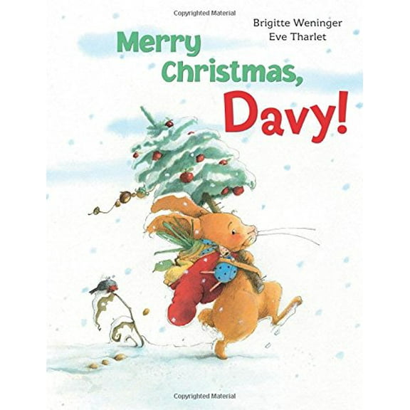 Merry Christmas, Davy! (Hardcover)