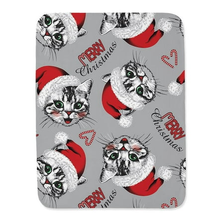 Merry Christmas Kittens Blanket -Image by Shutterstock,