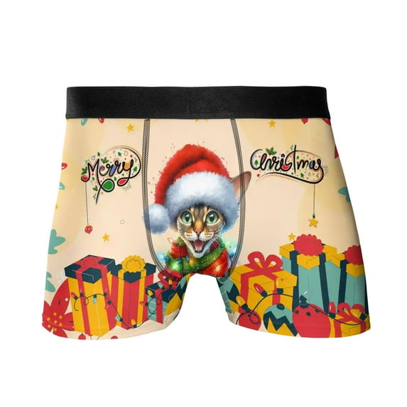 Merry Christmas Santa Devon Rex Scarf Twinkling Lights Xmas Holiday All Over Print Boxer Briefs Underwear for Men Dad Cat Lover Kitten Owner Gifts - 00022