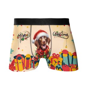 Merry Christmas Santa German Shorthaired Pointer Scarf Twinkling Lights Xmas Holiday All Over Print Boxer Briefs Underwear for Men Dad GSP Lover Dog Gift - 00022