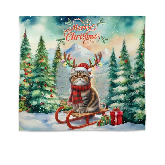 Merry Christmas Santa Reindeer Antlers Exotic Shorthair Sleigh Xmas Winter Holiday Tapestry Cat Lover Kitten Owner Gifts Wall Hanging Backdrop Home Decor - 00023
